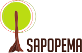 Sapopema
